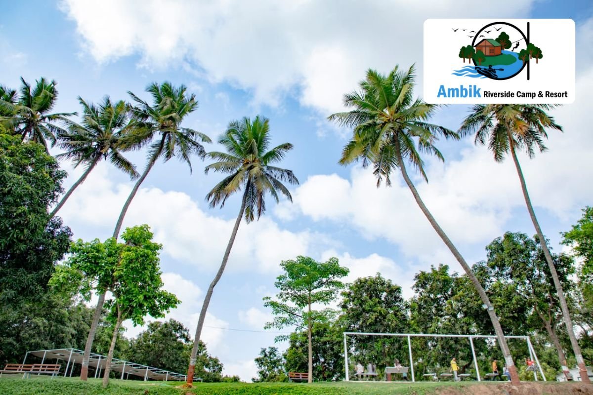 Ambik Banner